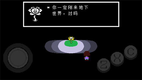 undertale手机版截图4