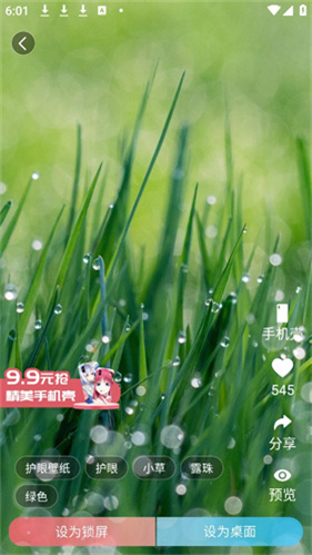 360小鸟壁纸手机版