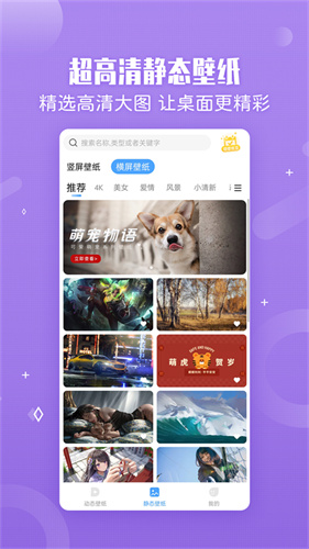 360小鸟壁纸手机版截图2