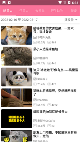 哔哩猫