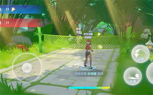 飞羽青春