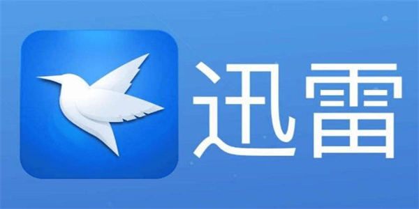 迅雷手机版大全