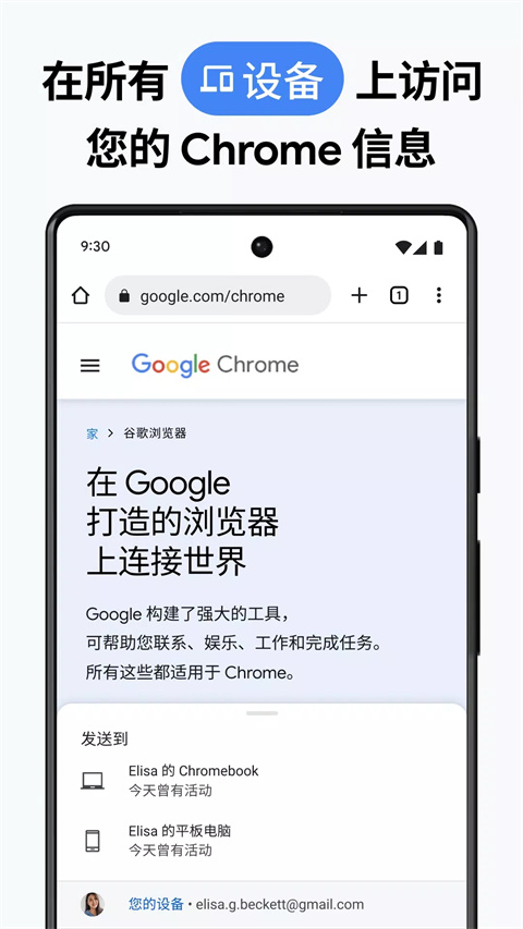 Google Chrome最新版截图5