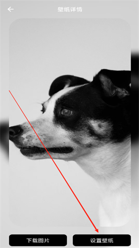 三星samhelper改屏幕比例