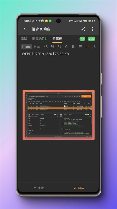 HttpCanary抓包软件截图5