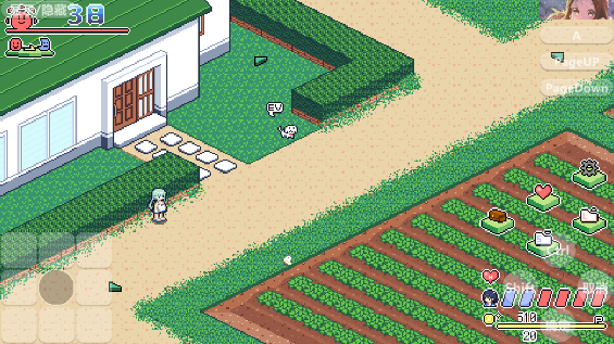 寻找夏日的宝物