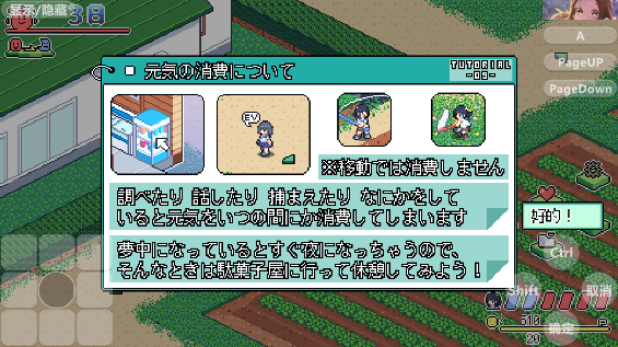 寻找夏日的宝物