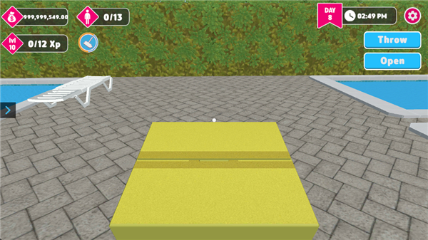 水上乐园经理模拟器