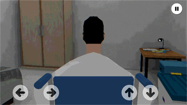 皮卡布宁静的夜晚截图2