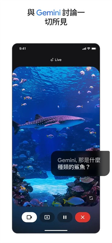 gemini截图2
