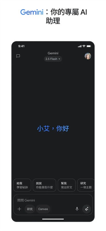 gemini人工智能截图3