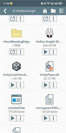 空洞骑士丝之歌