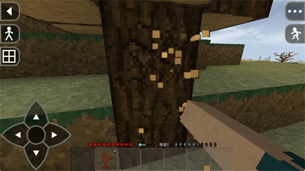 生存战争2.4版本