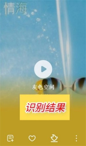 酷狗概念版2.5.5