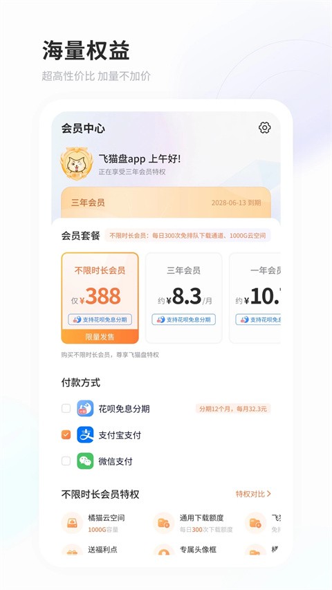 飞猫网盘截图4