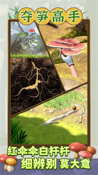 夺笋高手免广告版截图2