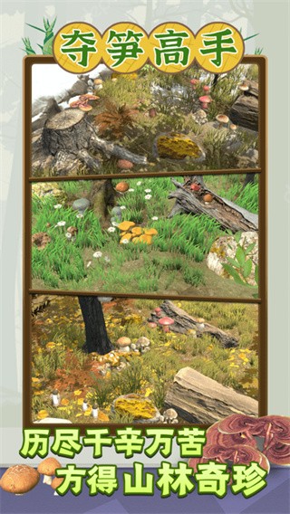 夺笋高手免广告版截图3