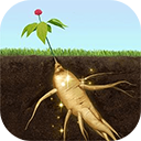 夺笋高手免广告版