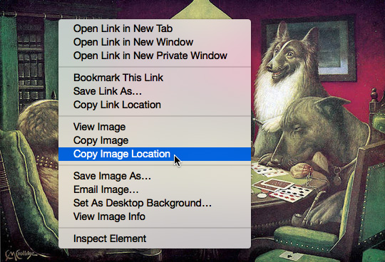谷歌识图手机版
