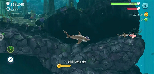 饥饿鲨进化国际版