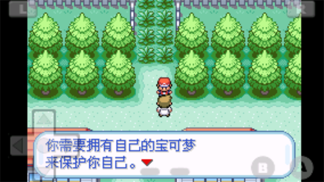 口袋妖怪火红手机版截图3