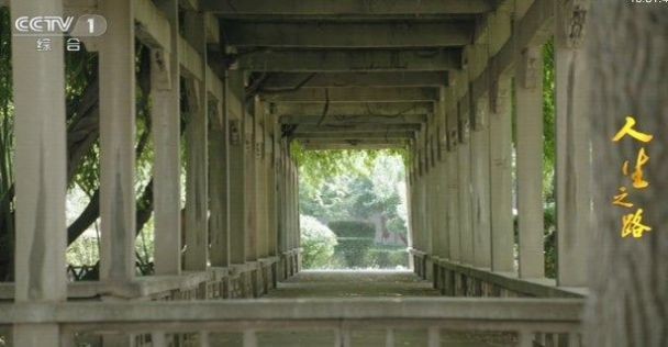 海星tv手机版截图2