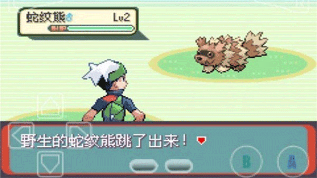 口袋妖怪绿宝石最新版截图4