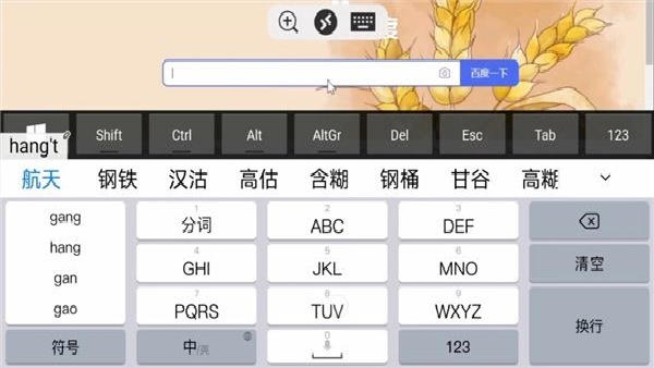 Remote Desktop中文版