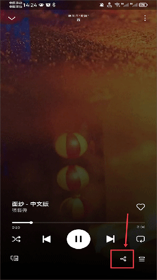 Spotify安卓版