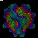 Volumeshader汉化版