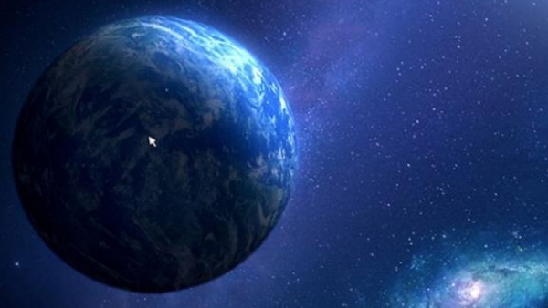 只只大冒险安卓版