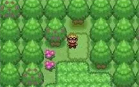 口袋妖怪白金光中文版