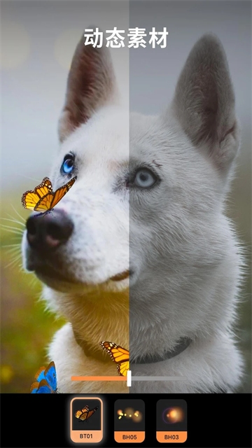 motionleap安卓版截图4