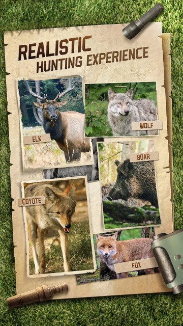 狩猎狙击手最新版截图3