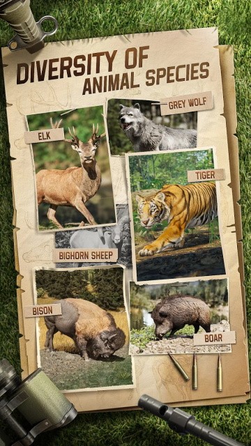 狩猎狙击手最新版截图4