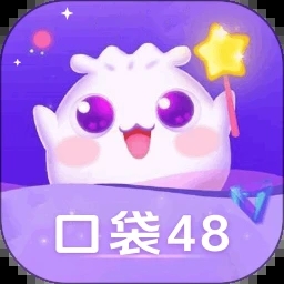 口袋48成员版