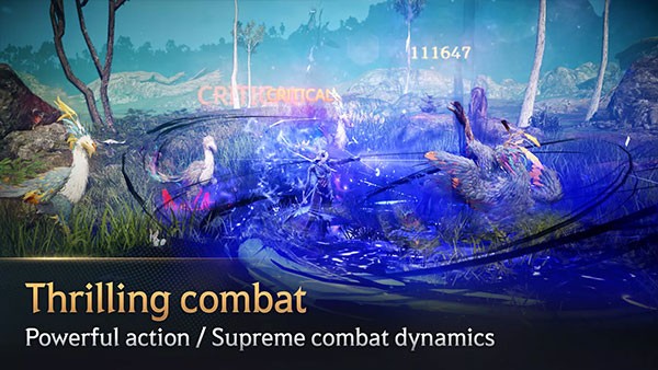 黑色沙漠手游截图5