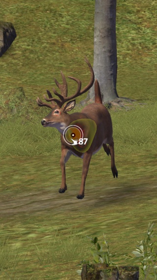 狩猎狙击手最新版