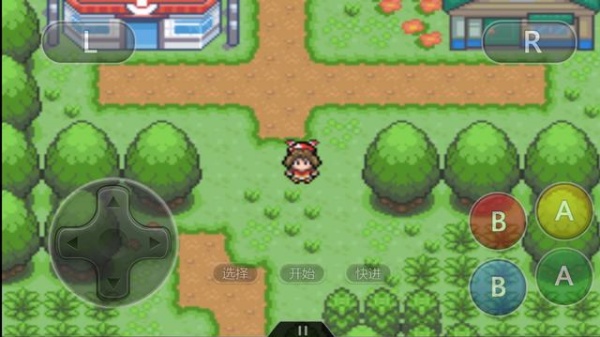 口袋妖怪究极绿宝石5.5金手指版