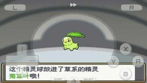 口袋妖怪心金魂银汉化版截图1