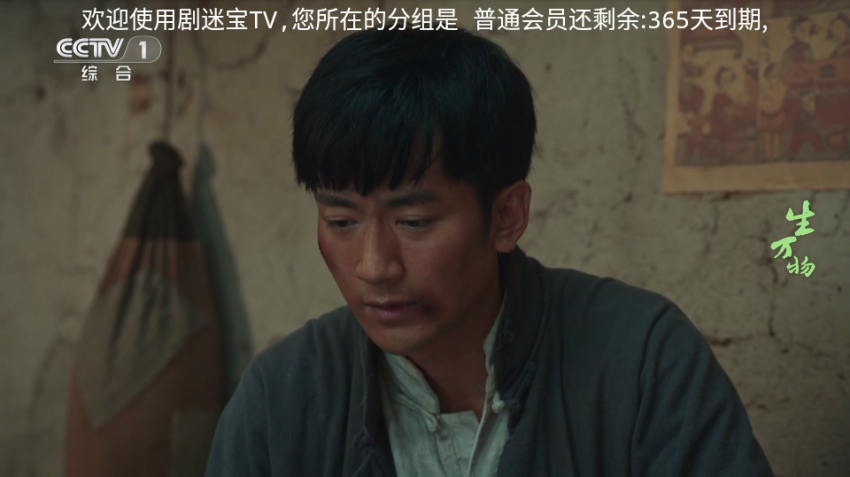 壹米电视TV版截图1