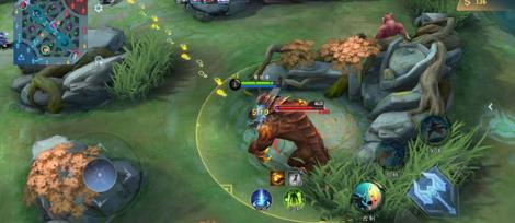 决胜巅峰国际服