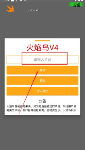 和平精英火焰鸟直装
