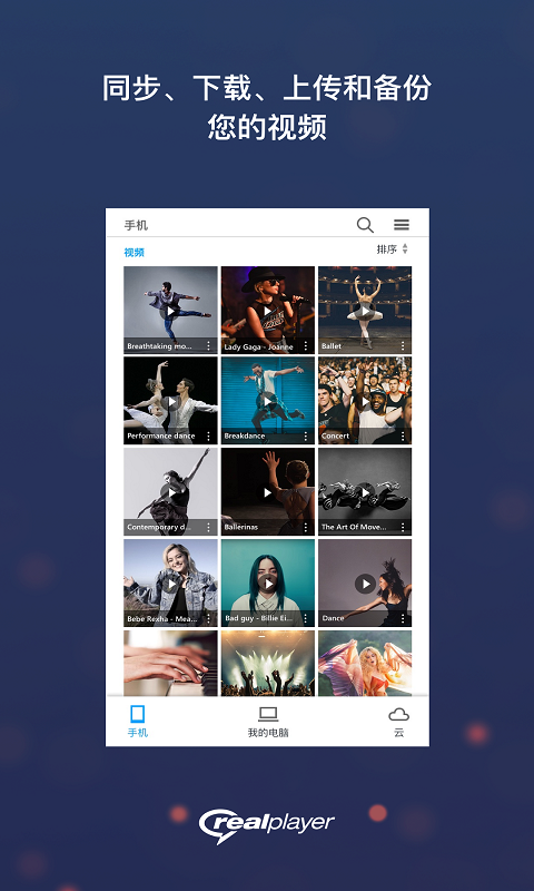 realplay播放器截图2