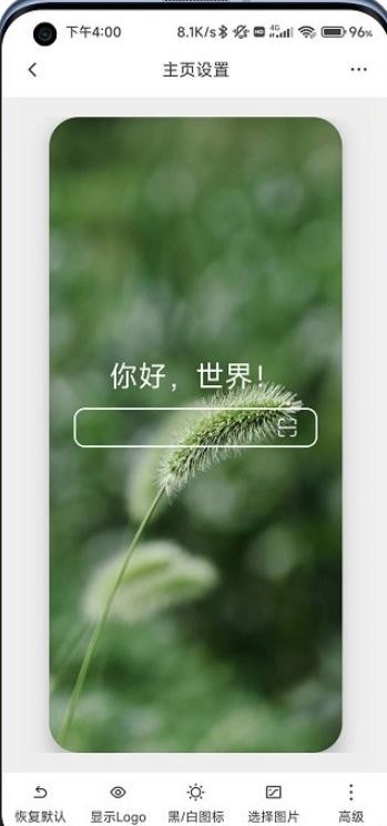 b仔浏览器截图1