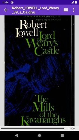 DjVu阅读器中文版截图3