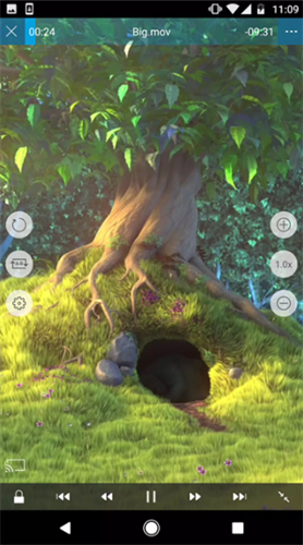 nplayer截图3