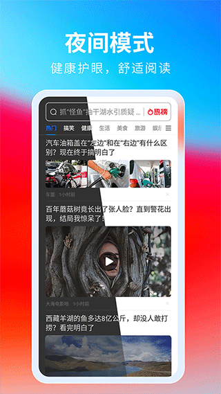 飞觅浏览器截图1