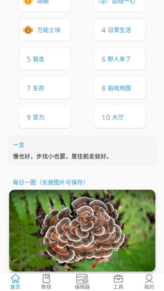 迷你开发者工具箱