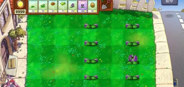 植物大战僵尸可接头版截图3